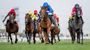 Notable Speech, Turf Champions Day, Woodbine Mile, Summer Stakes, Natalma Stakes, E. P. Taylor Stakes, Woodbine, horse racing, America's Best Racing, ABR